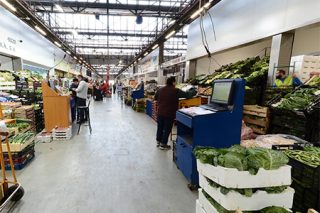 centro logistico alimentos